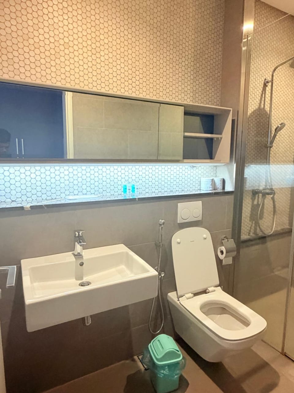 Shower, Toilet, Bathroom, towels