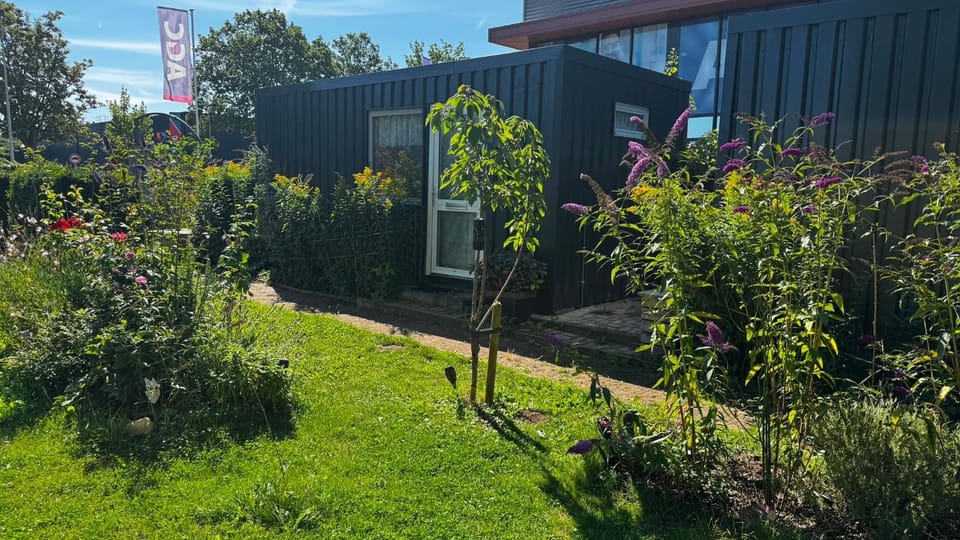 Property building, Garden, Garden view