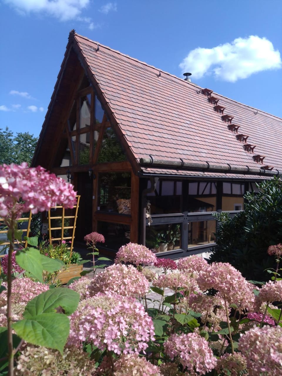 Property building, Day