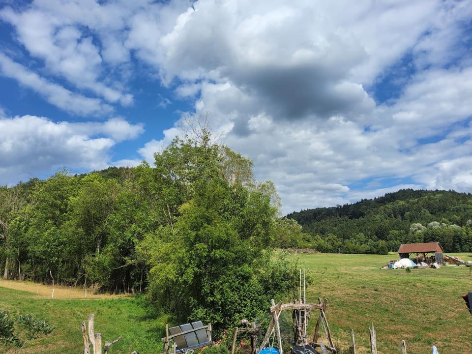 Natural landscape