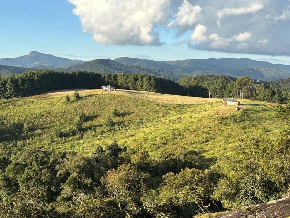 Natural landscape