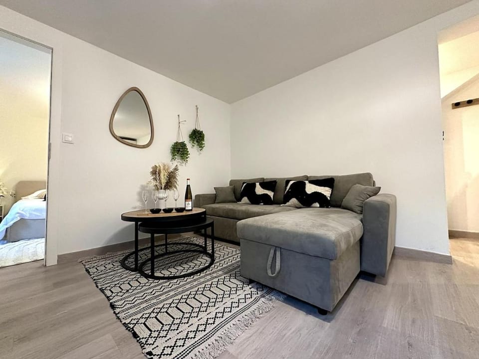 appartement moderne parking Apartment in Strasbourg