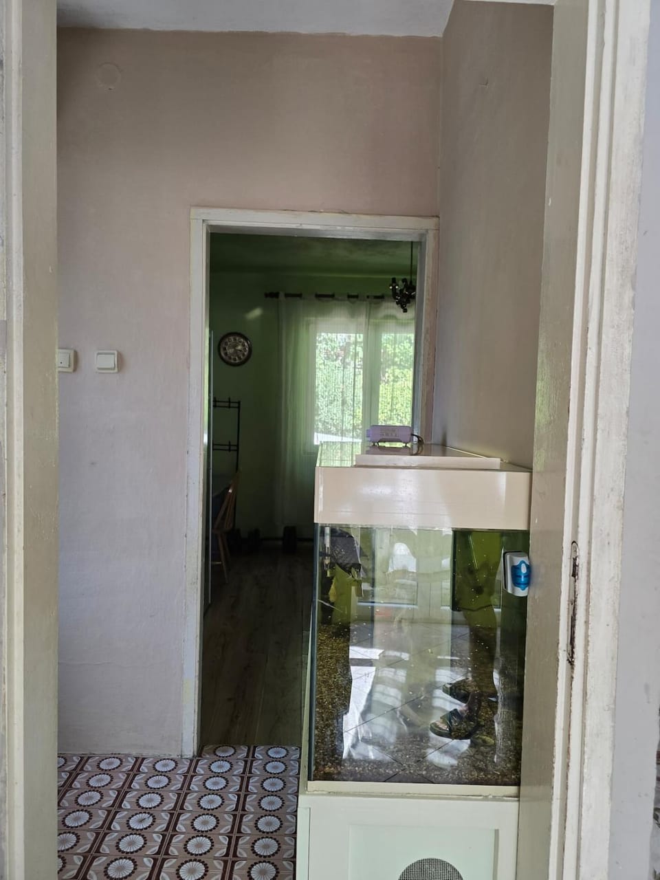 Lina Apartment in Dobrota