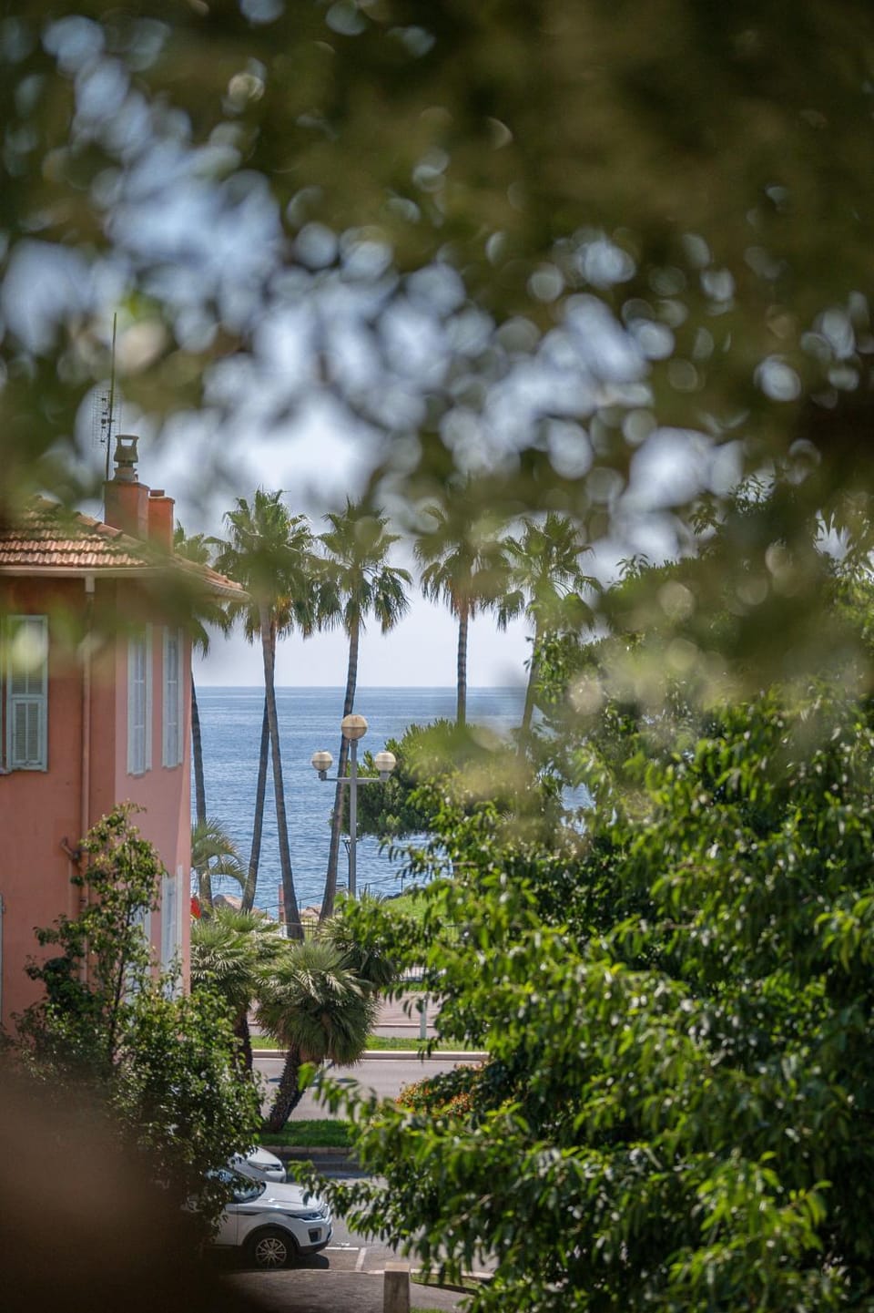 Spring, Day, Natural landscape, Garden, River view, Sea view
