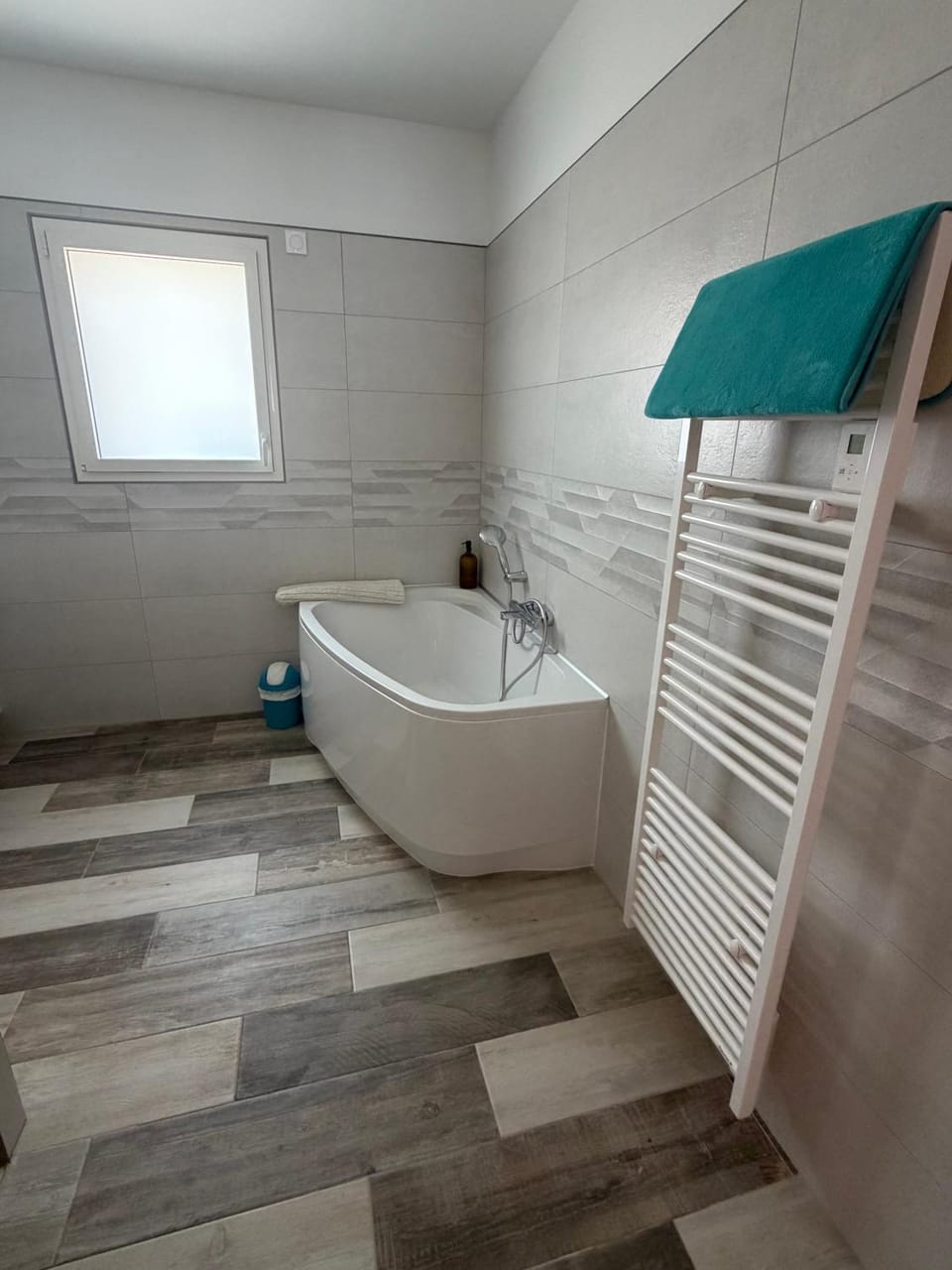Bathroom, Living room