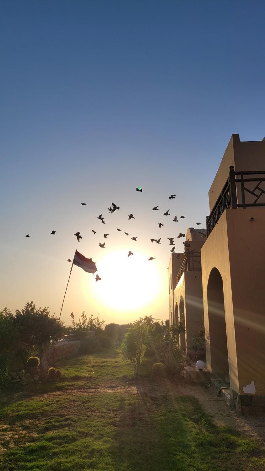 the view Apartment in Hurghada