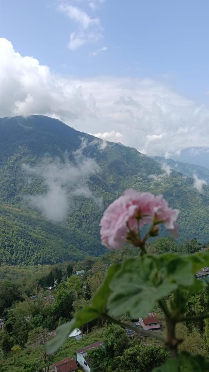 Day, Natural landscape, Mountain view