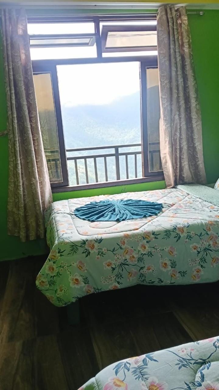 Bed, Living room, Bedroom