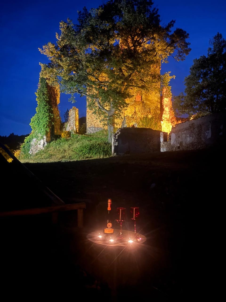 Guest House Villa Castello Bed and Breakfast in Piedmont