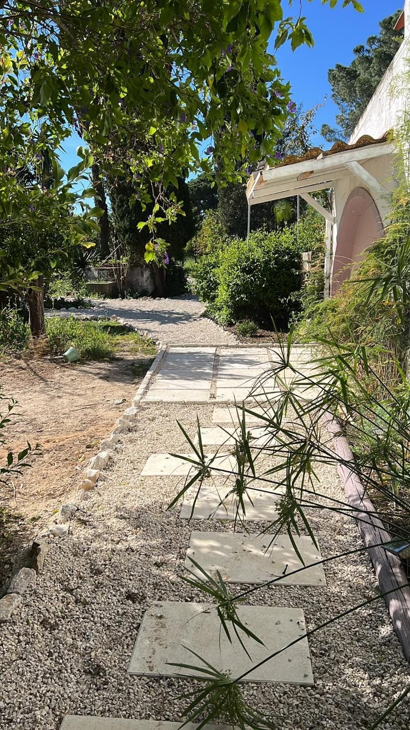 Spring, Garden, Garden view