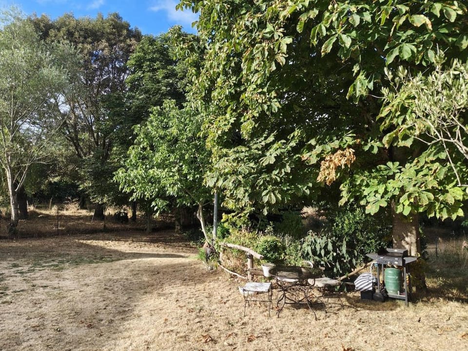 Chambres d'hôtes Écurie du Globe Trotter Bed and Breakfast in Occitanie
