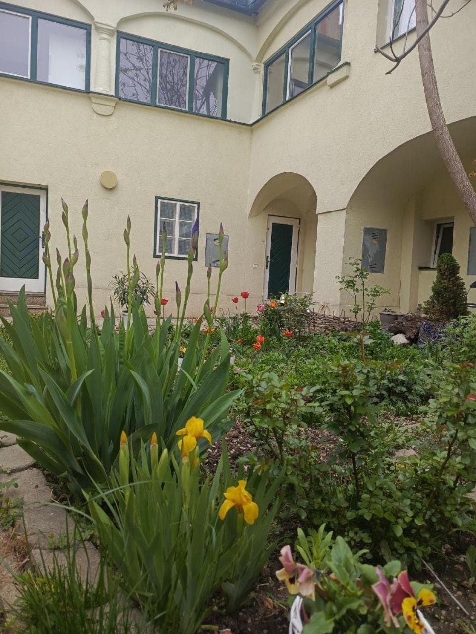 Property building