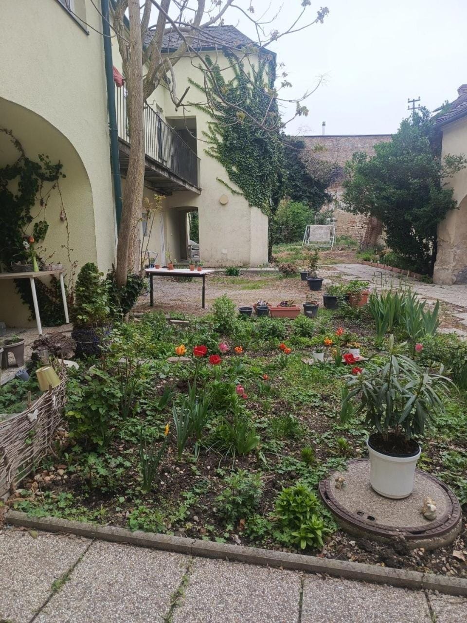 Property building
