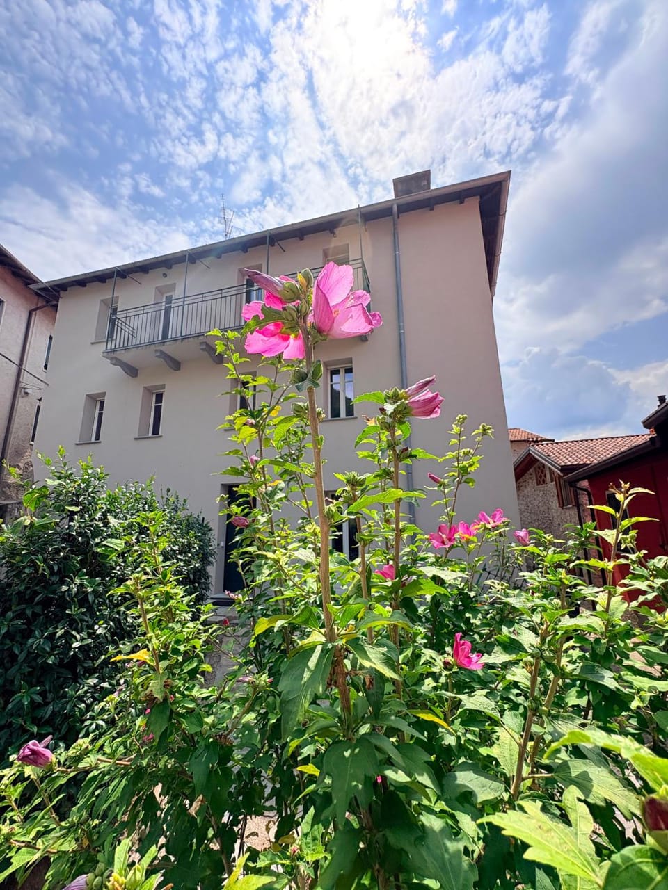 Property building, Garden, Garden view
