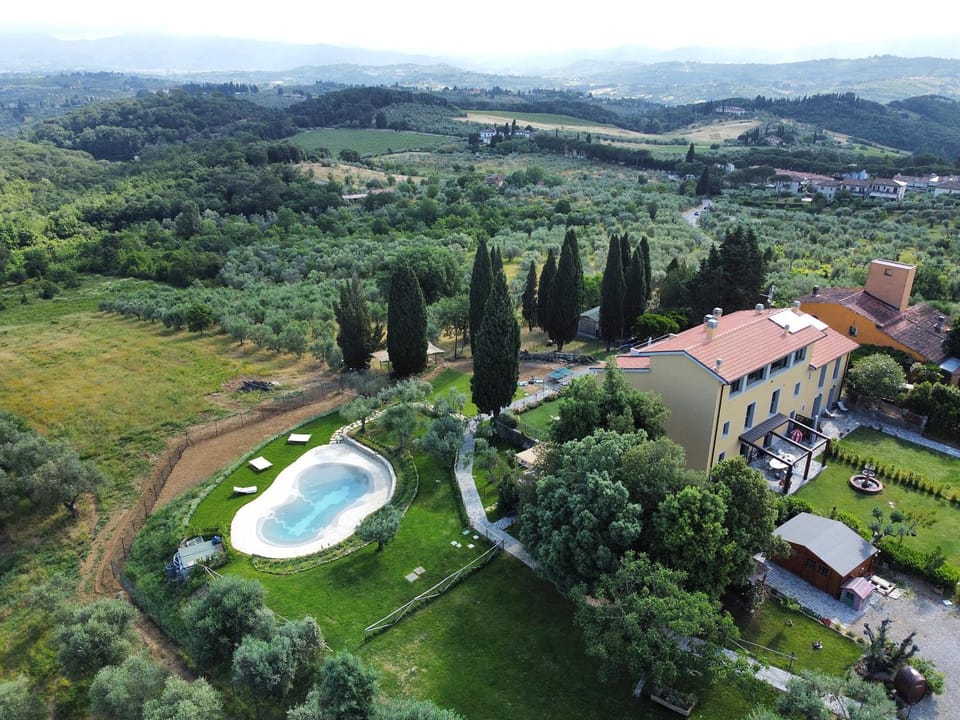 Bird's eye view, Garden, Swimming pool