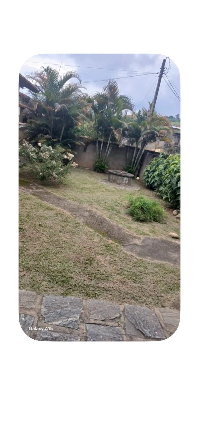 Natural landscape, Garden, Garden view
