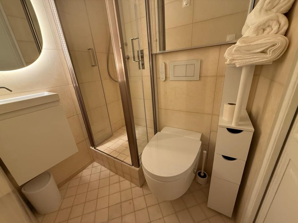 Shower, Toilet, Bathroom, towels