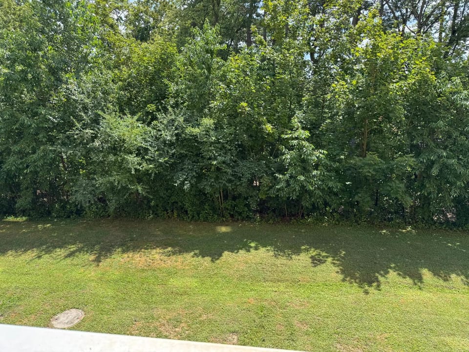 Property building, Garden view