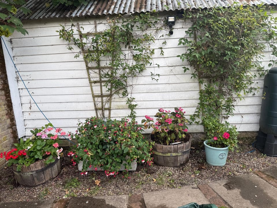 The Thatched Cottages 1 bedroom House in Maldon District