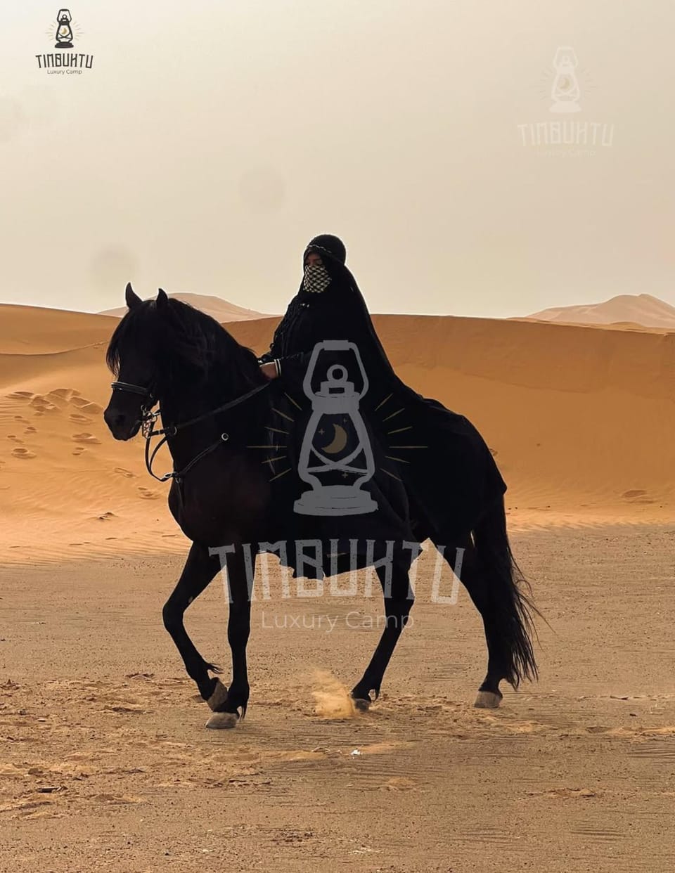 People, Horse-riding, Horse-riding, Animals