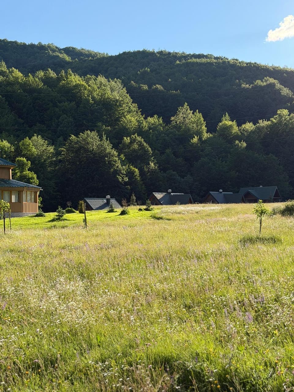 Villa Doe Chalet in Montenegro