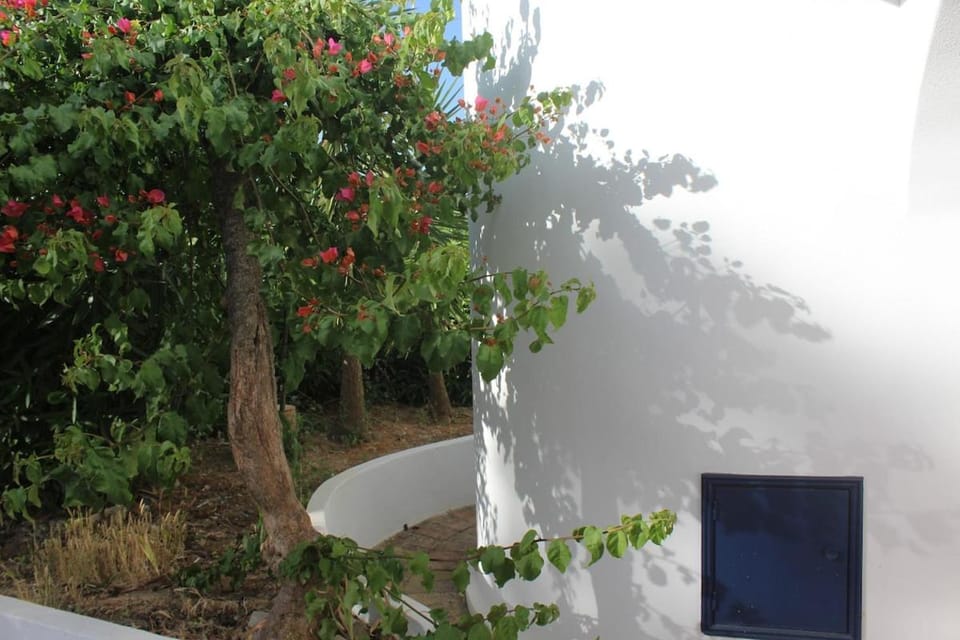 Casa da Buganvília House in Guia