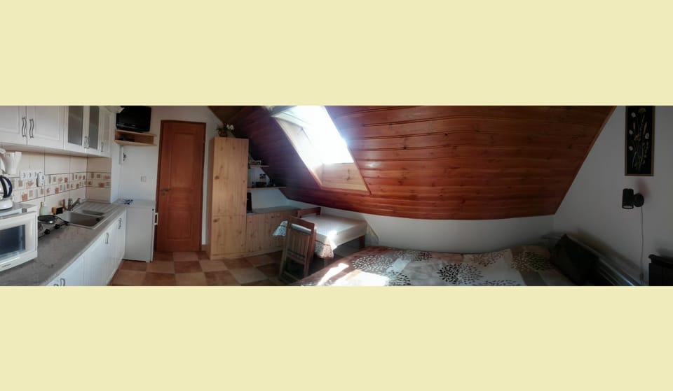 Kitchen or kitchenette, Photo of the whole room, Bedroom