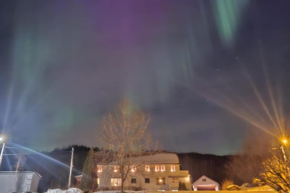Night, Natural landscape