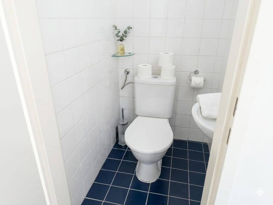 1 BR, central, Prater, Schwedenplatz Apartment in Vienna