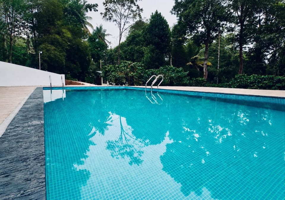 Swimming pool, Swimming pool