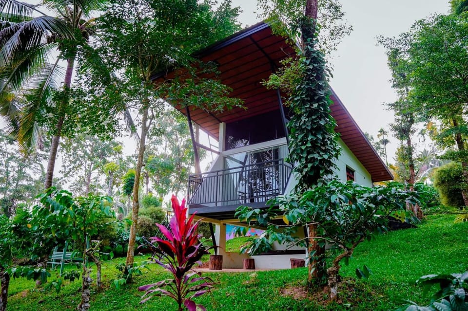 Property building, Day, Natural landscape, Garden view