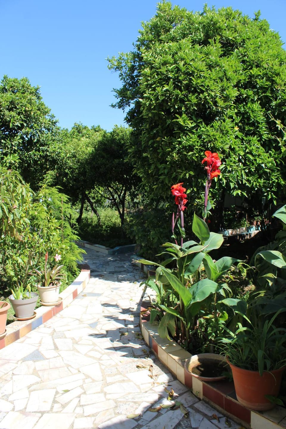 Spring, Day, Garden, Garden view