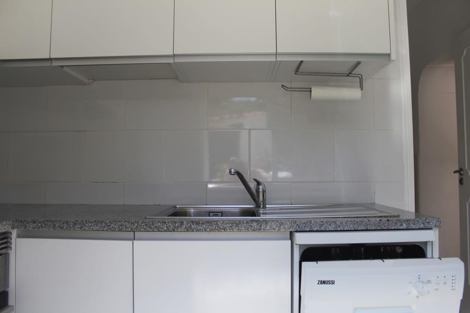 Kitchen or kitchenette, dishwasher