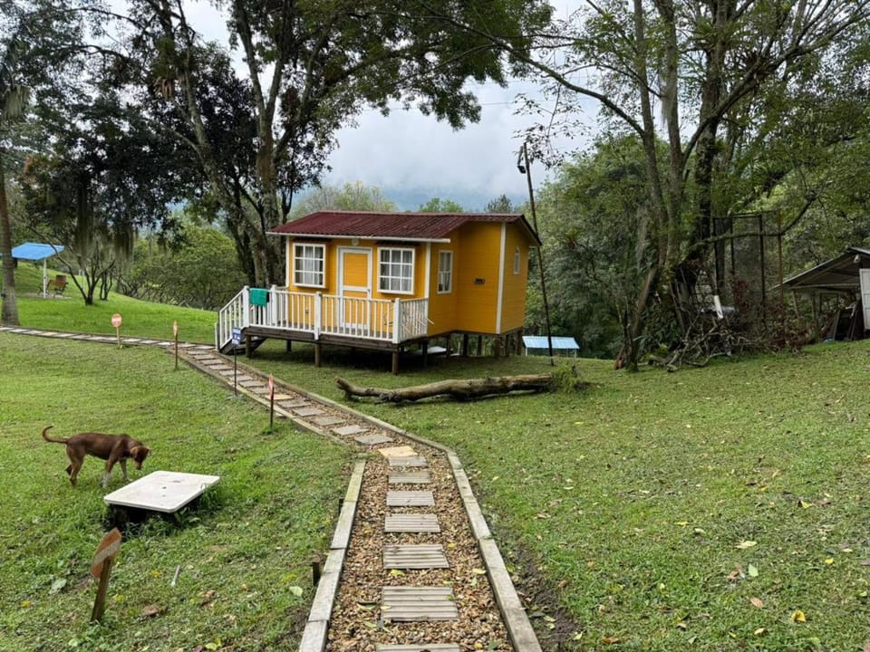 Cabañas Creation Garden - Espacio de Vida Saludable Nature lodge in Cundinamarca, Colombia