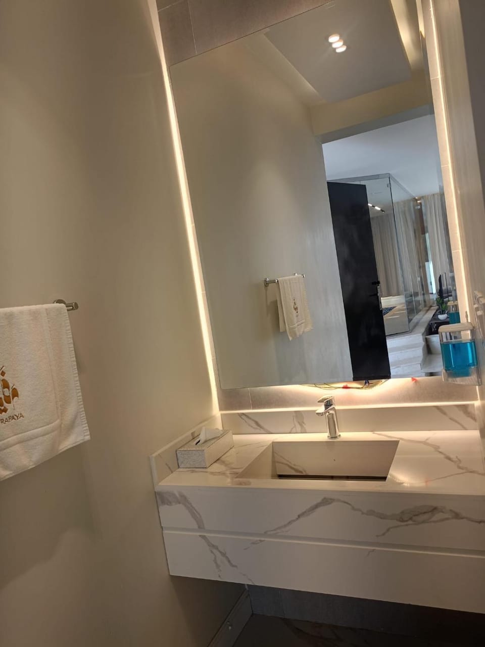 Bathroom, towels