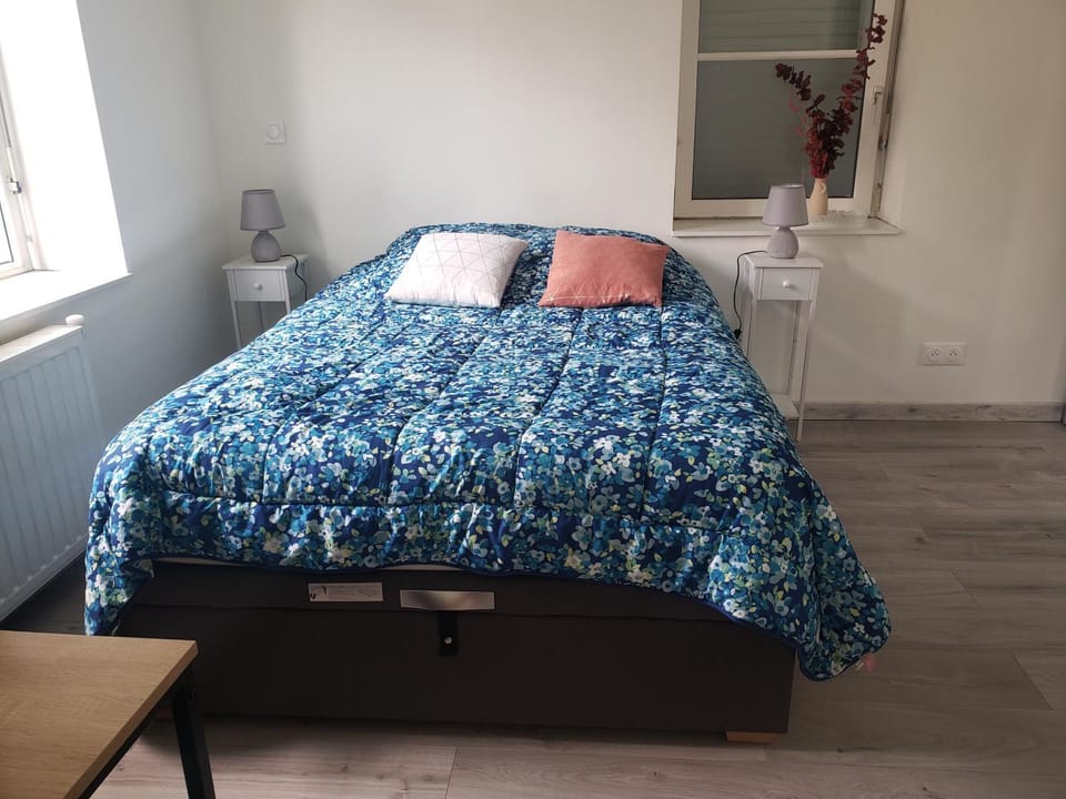 Cocon lumineux Euratech-CHU Apartment in Lille
