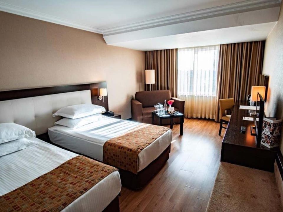 Academic Inn Hotel Hotel in Baku