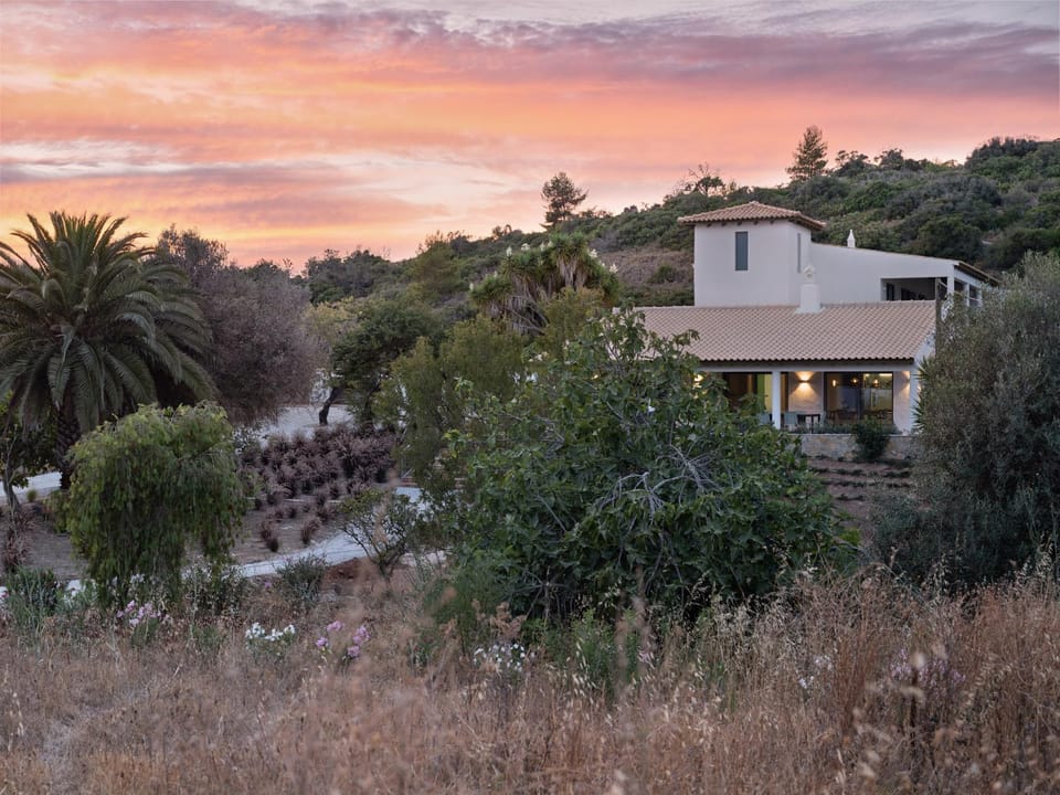 Property building, Natural landscape, Garden, Garden view, Sunset