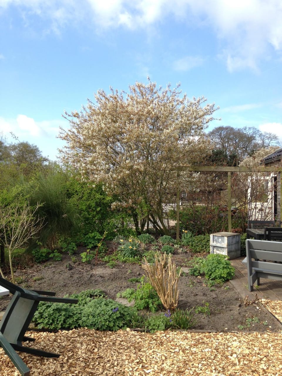 Spring, Garden
