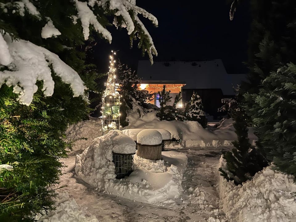 Winter, Garden