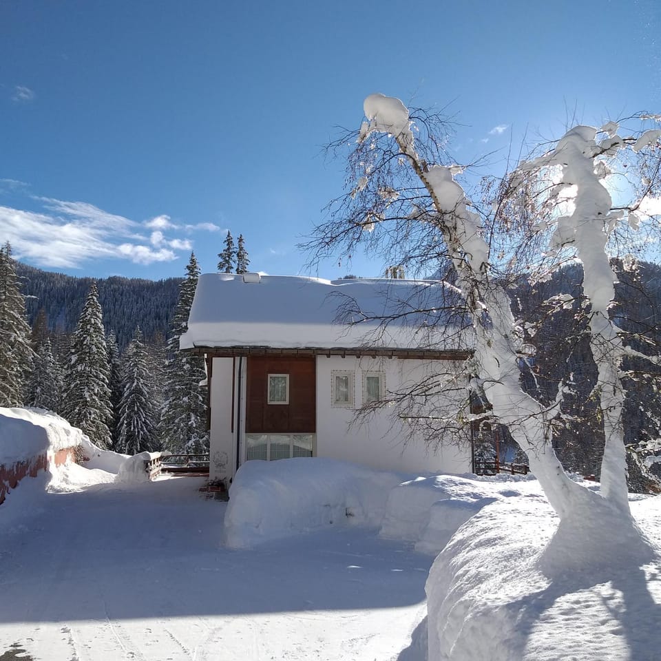 Property building, Facade/entrance, Winter, View (from property/room), Mountain view