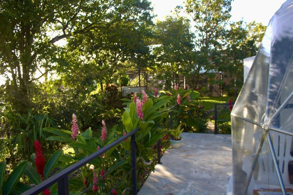 Garden, Garden view