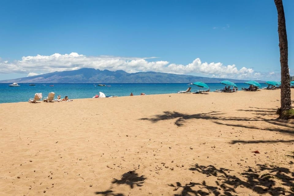 Central Maui Studio • Kitchenette + Queen Bed Apartment in Wailuku