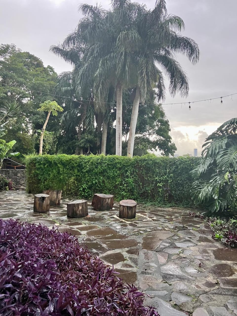 Natural landscape, Garden