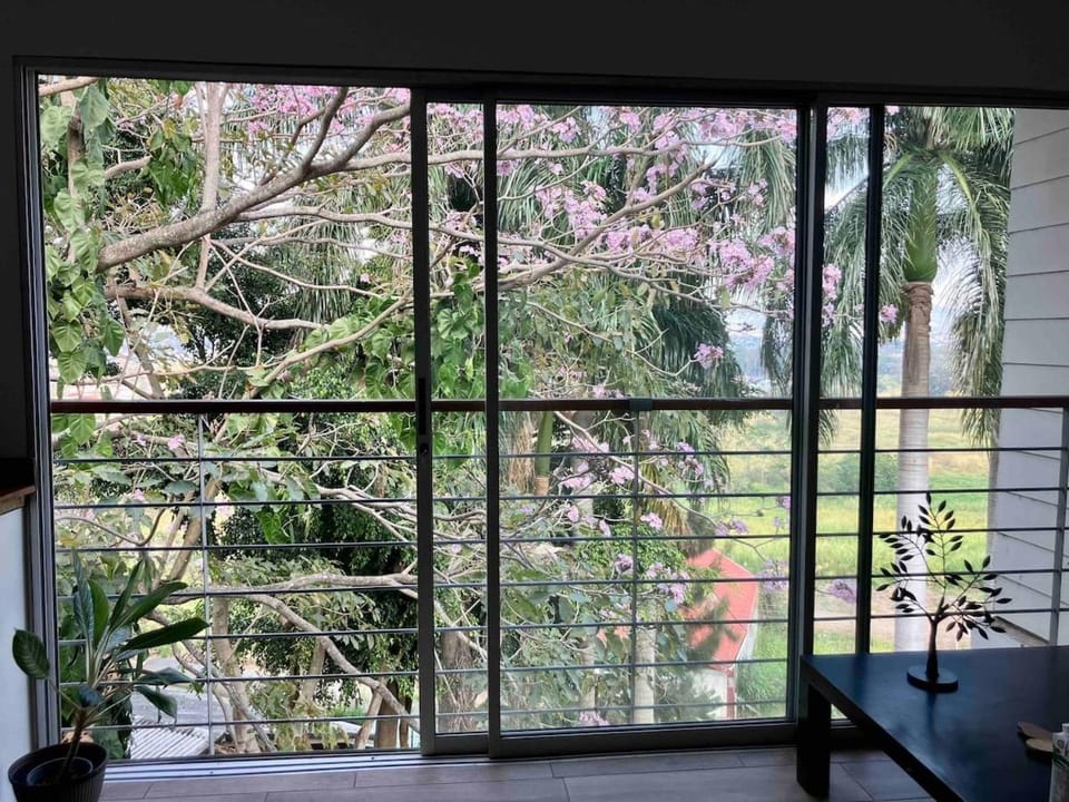 Casa Roraima Apartment in San Jose