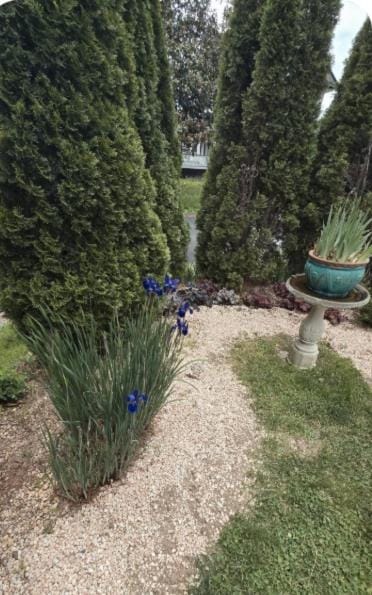 Cozy Baltimore Suite Free Parking NearJohn Hopkins Apartment in Baltimore