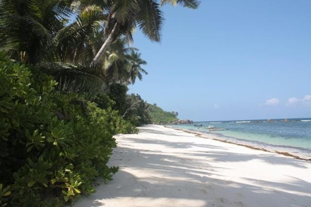Day, Beach