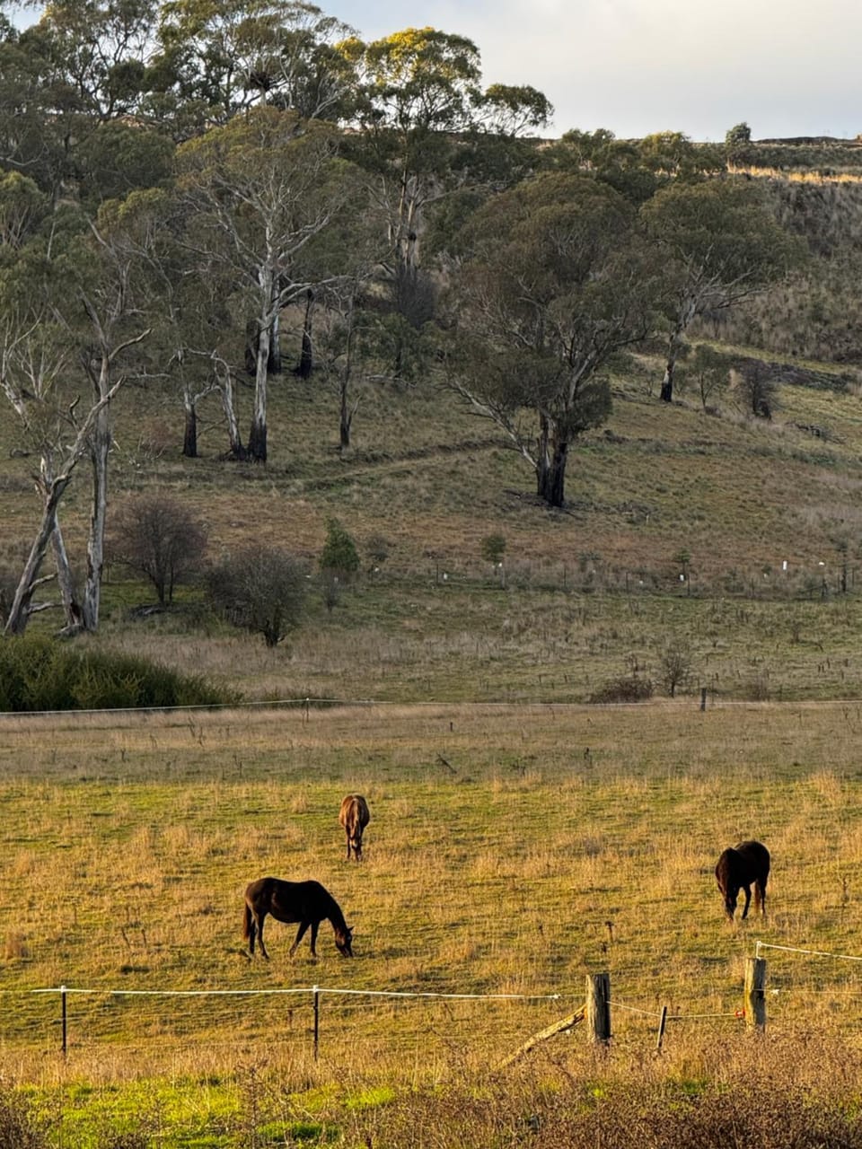 Valley View Campground/ 
RV Resort in New South Wales