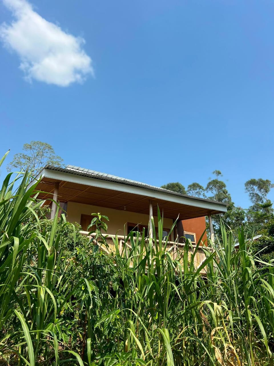 Nkuri chimp lodge Hotel in Uganda