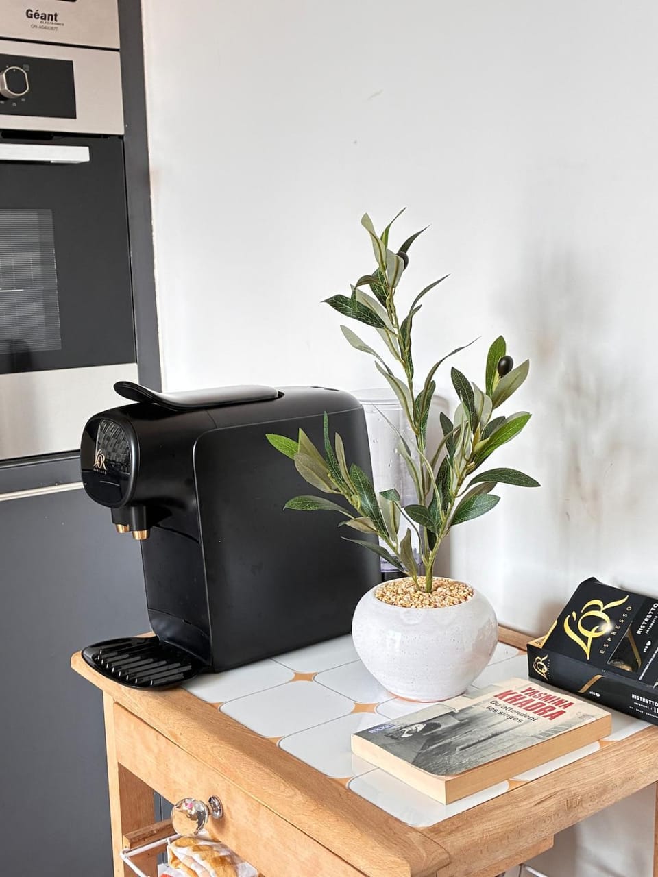 Modern, cozy, and bright apartment Boulevards des lions Apartment in Oran